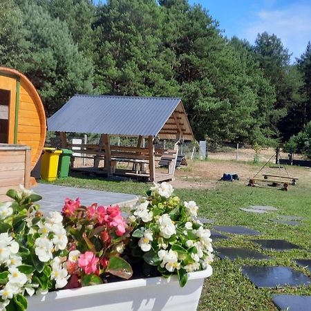 Domek Do Wynajecia - Siedlisko Przy Lesie Rzasnik ภายนอก รูปภาพ