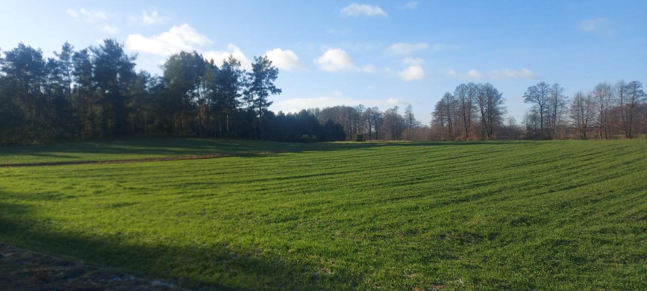 Domek Do Wynajecia - Siedlisko Przy Lesie Rzasnik ภายนอก รูปภาพ