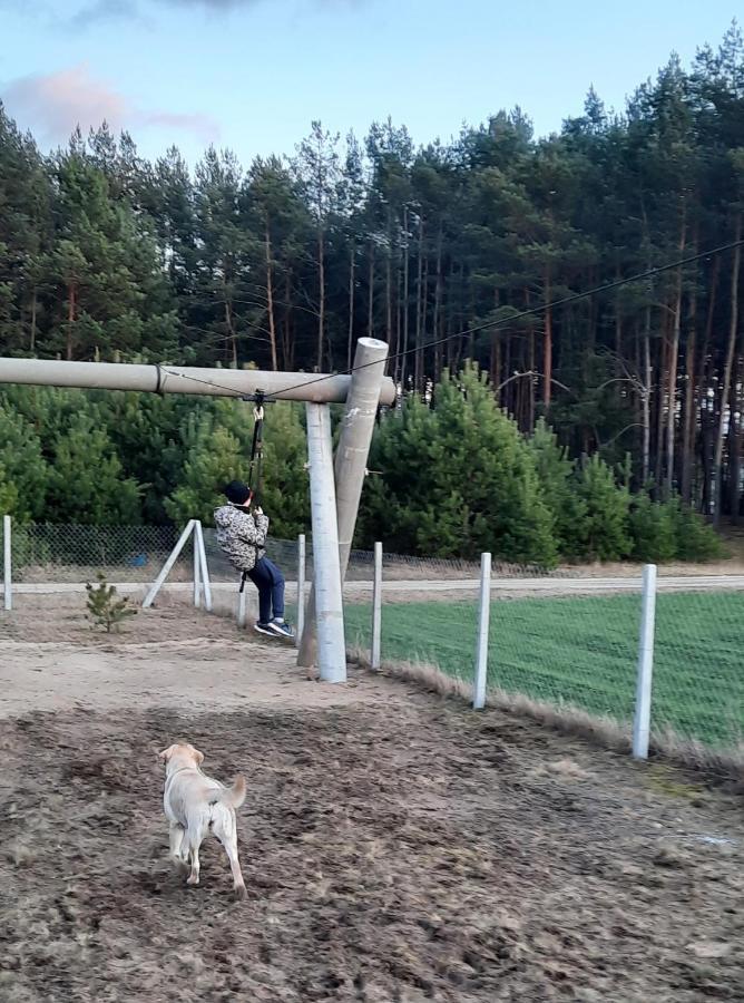 Domek Do Wynajecia - Siedlisko Przy Lesie Rzasnik ภายนอก รูปภาพ